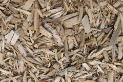 biomass boilers Greens Of Coxton